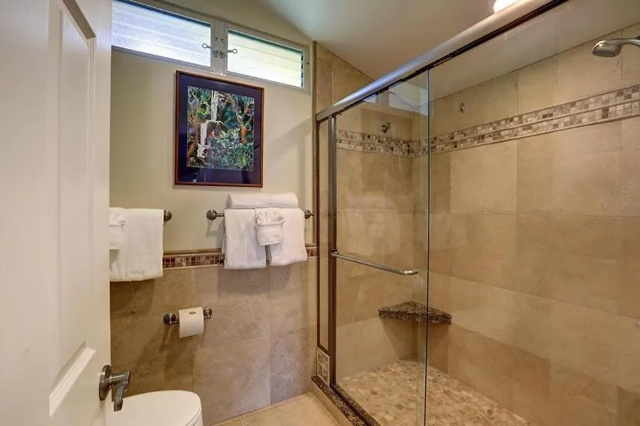 Wailea Elua, #1204 Condo Apartment Wailea (Maui)